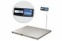4D-PM.S-15/12-2000-AB(RUEW) (нерж) - Платформенные весы | платформенные весы из нержавейки фото 2
