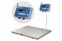 4D-PM.S-15/12-2000-AB(RUEW) (нерж) - Платформенные весы | платформенные весы из нержавейки фото 6