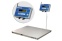 4D-PM.S-15/12-2000-AB(RUEW) (нерж) - Платформенные весы | платформенные весы из нержавейки фото 1