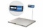 4D-PM.S-15/12-2000-AB(RUEW) (нерж) - Платформенные весы | платформенные весы из нержавейки фото 3